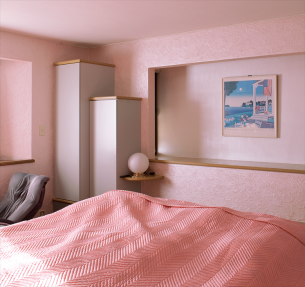 家有四国化成硅藻泥 空气从此没问题