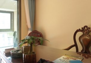 室内污染最大的元凶是它 看硅藻泥如何祛除