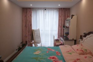 净化室内空气 您用的是肺还是硅藻泥