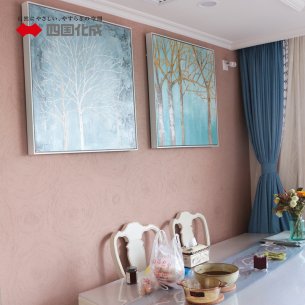 老房重新房装修一定要用硅藻泥