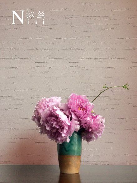 四国化成硅藻泥插花效果图