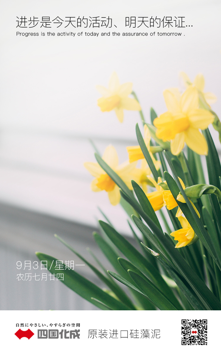 进步是今天的活动，明天的保证