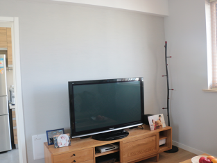 硅藻泥电视背景墙竟然能如此漂亮