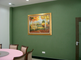 硅藻泥背景墙，让您享受家居之美！