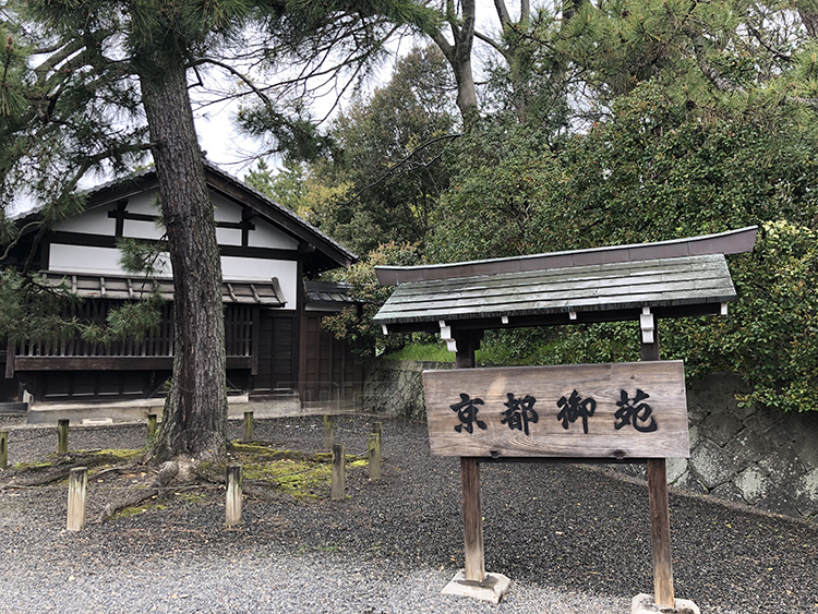 京都迎宾馆硅藻泥工装案例