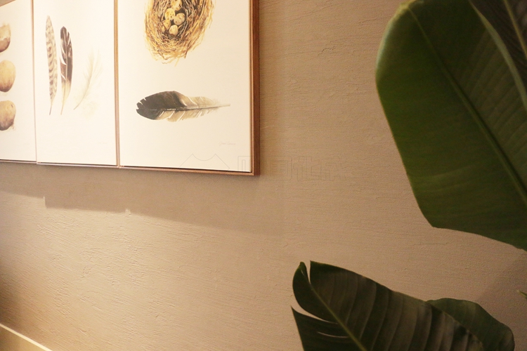 四国化成硅藻泥工装项目