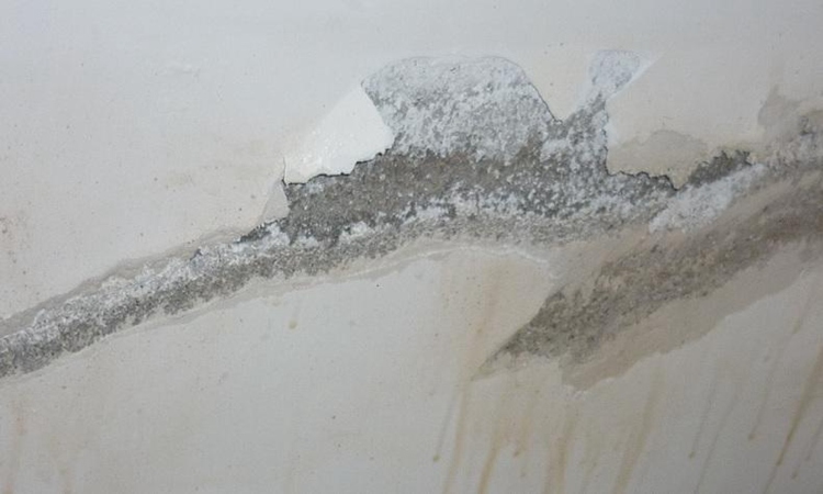 为什么墙面会渗水?墙面渗水怎么办?