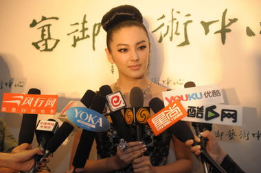 张雨绮站在四国化成硅藻泥前接受采访