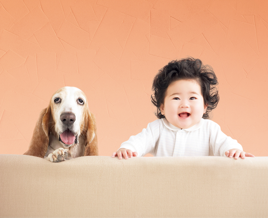 进口硅藻泥 进口硅藻泥