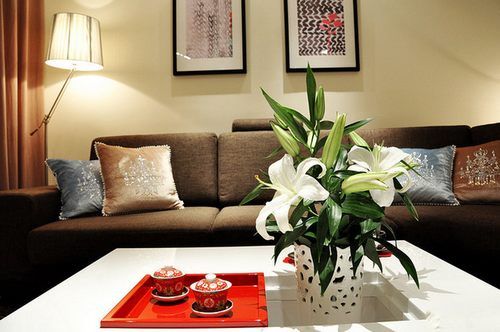 四国化成硅藻泥