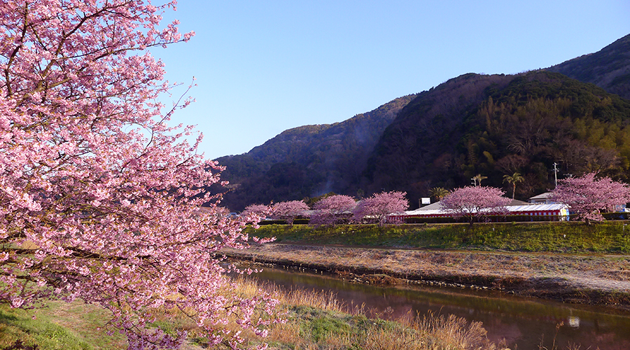 四国化成硅藻泥