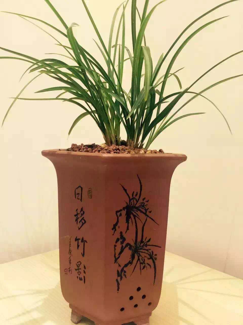 四国化成硅藻泥与普洱茶