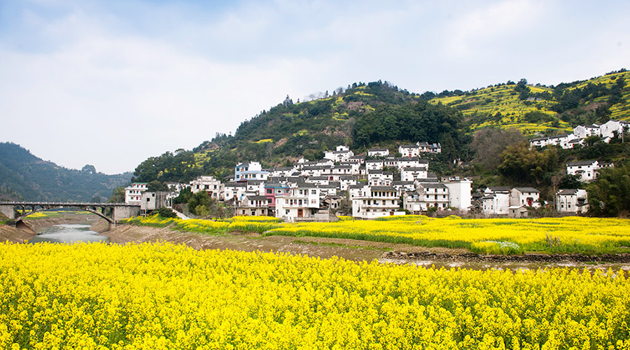 甜美的家 甜美的家