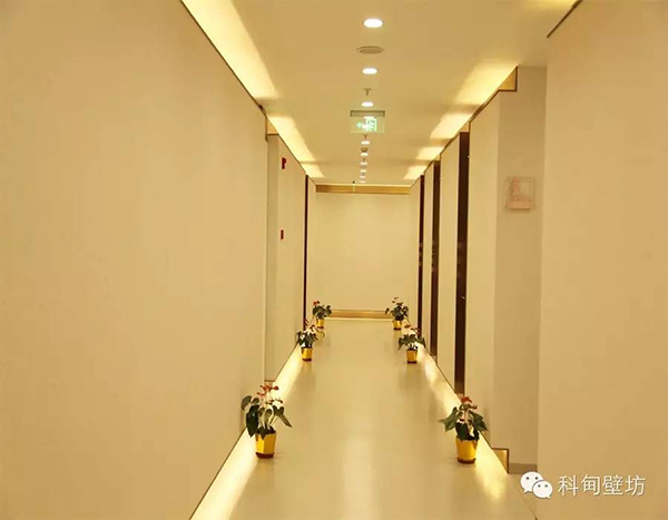 硅藻泥装修效果图