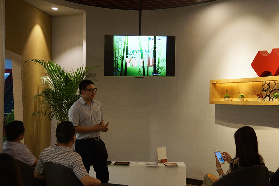 进口硅藻泥 进口硅藻泥