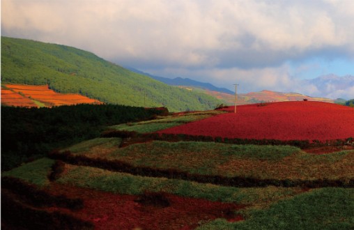暴雨袭击申城，房间除湿有妙招