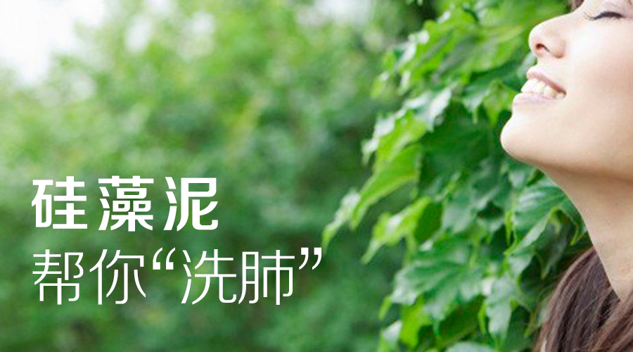 硅藻泥--帮你&ldquo;洗肺&rdquo;